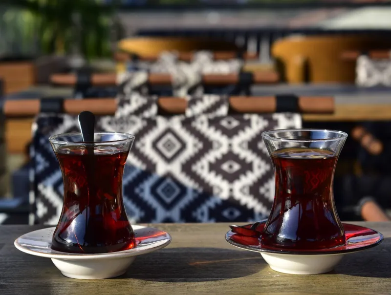 The Art of Connection: How Turkish Hospitality Traditions Redefine Companionship for American Visitors